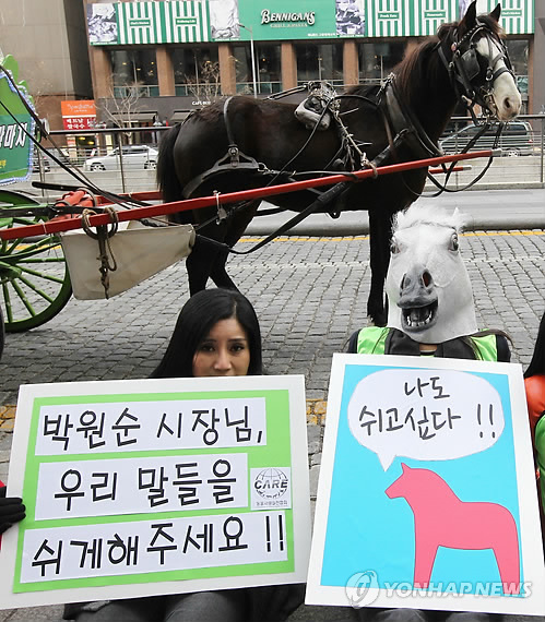 청계천 관광 마차 보이콧 캠페인