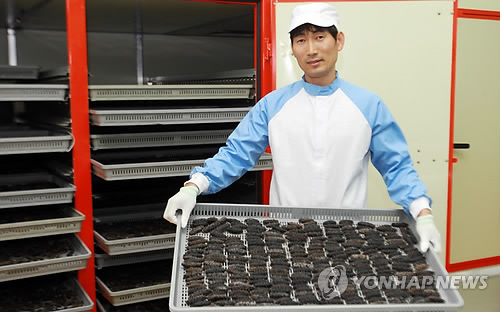 해삼을 가공식품으로‥