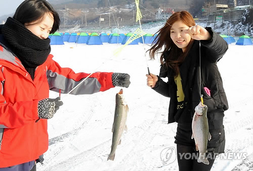 홍천 송어축제로 오세요