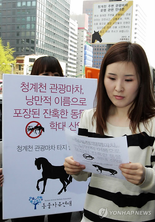 청계천 주변 관광마차 운행 중단 요구 캠페인