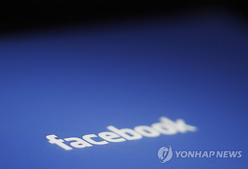 SNS도 페이스북 가치 부풀려졌다 압도적