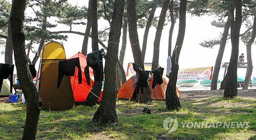 솔밭야영장