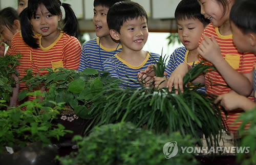 전통 약초 만나다