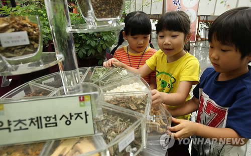 전통 약초 만나다