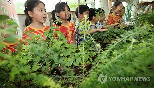 전통 약초 만나다