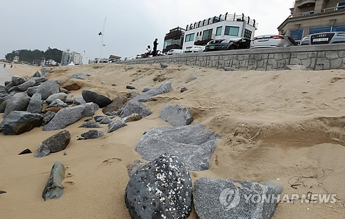 해안침식으로 사라지는 강릉 안목해변 백사장