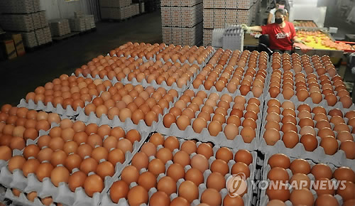 가격 하락, 쌓이는 계란