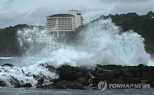 만든곳: 한국 네티즌본부 카페