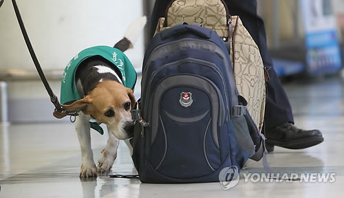 인천항 검역은 제가 맡아요