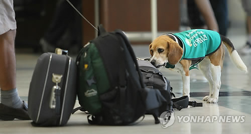 인천항 검역은 제가 맡아요