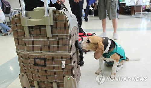 인천항 검역은 제가 맡아요