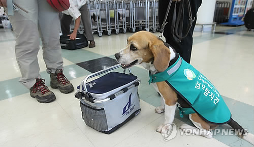인천항 검역은 제가 맡아요