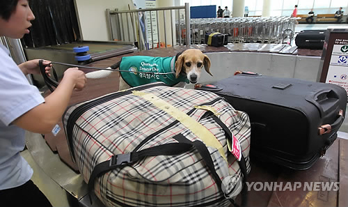 인천항 검역은 제가 맡아요