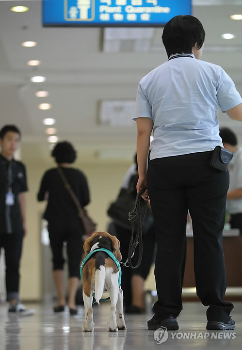 인천항 검역은 제가 맡아요