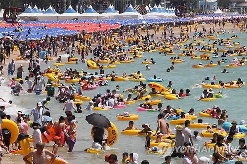 만든곳: 한국 네티즌본부 카페