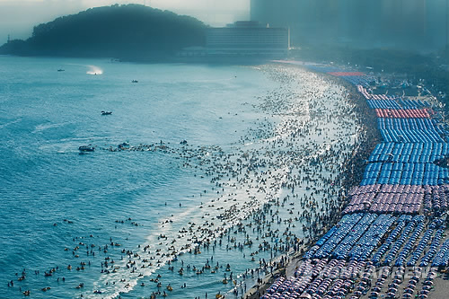 만든곳: 한국 네티즌본부 카페