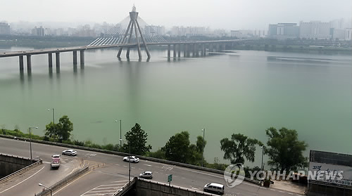 만든곳: 한국 네티즌본부 카페