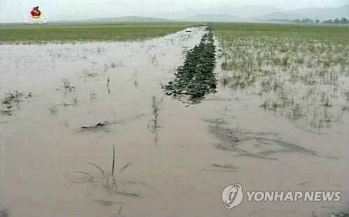 만든곳: 한국 네티즌본부 카페