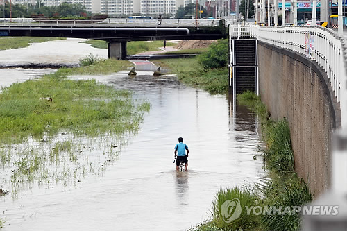 만든곳: 한국 네티즌본부 카페