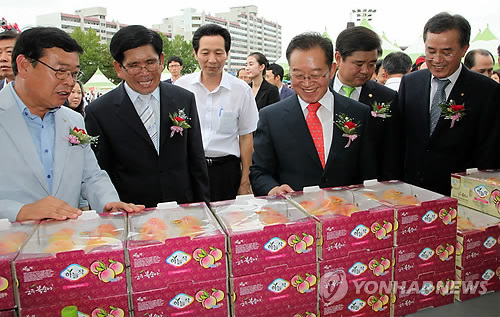 충주 복숭아 맛보세요