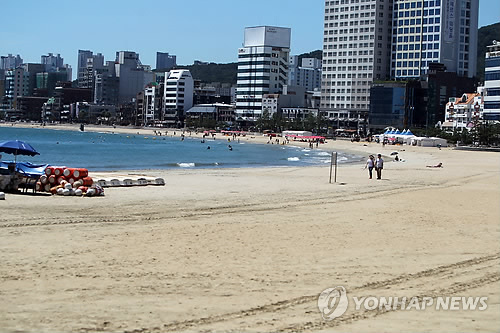 만든곳: 한국 네티즌본부 카페