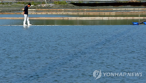 물에 잠긴 염전, 고개숙인 어민