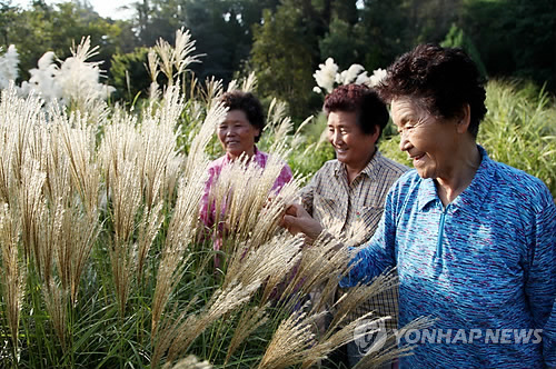 만든곳: 한국 네티즌본부 카페