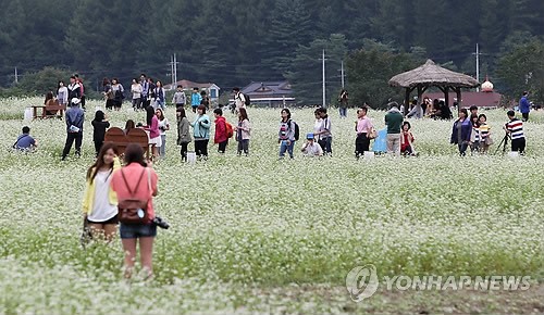 만든곳: 한국 네티즌본부 카페
