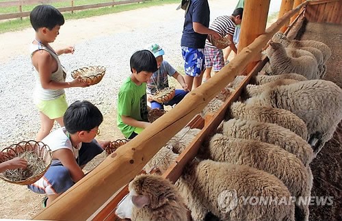 춘천 동물체험 농장 나들이 코스 `인기