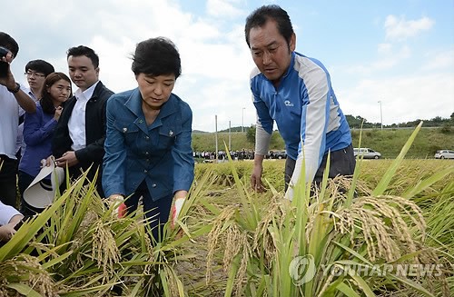 직접보는 태풍 피해 현장