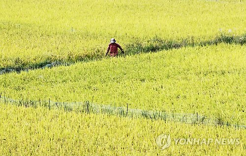 만든곳: 한국 네티즌본부 카페