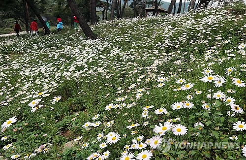 만든곳: 한국 네티즌본부 카페