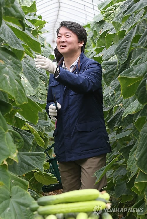안철수, 봉황52농장 방문