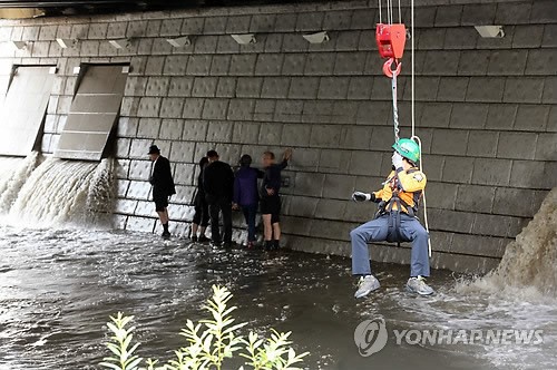 만든곳: 한국 네티즌본부 카페