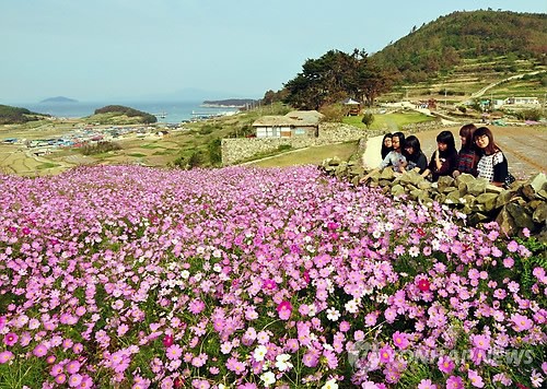 만든곳: 한국 네티즌본부 카페