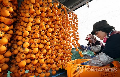 맛있는 상주 곶감 만들기