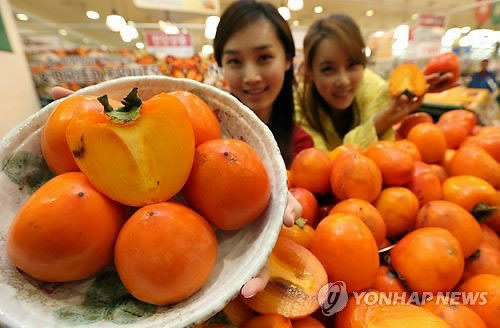탐스러운 대봉시 드셔보세요