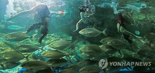 63씨월드, 수중 뮤지컬 인어공주 이야기