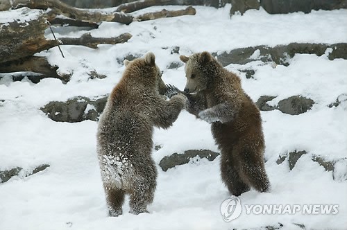 만든곳: 한국 네티즌본부 카페