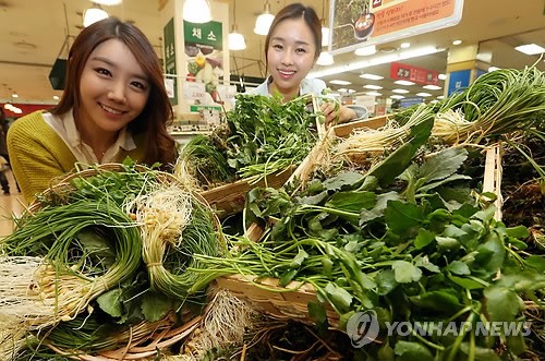 입맛 살리는 봄나물 30% 저렴하게..