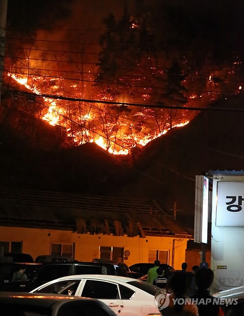 만든곳: 한국 네티즌본부 카페