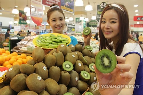 청정지역 지중해의 명품 이탈리아 키위