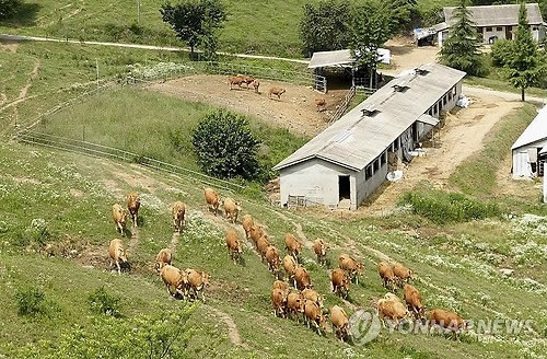홍성군 한우·돼지 최고 명성 잇는다