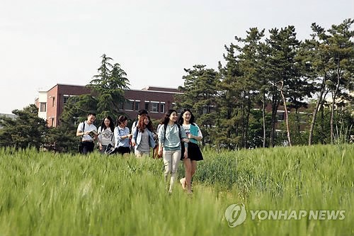 <카메라뉴스> 청보리밭으로 오세요