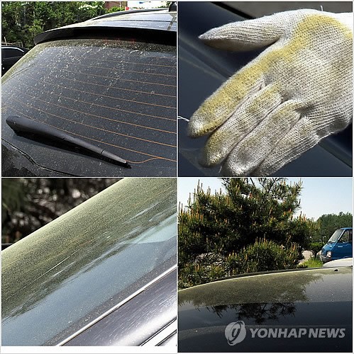 봄의 불청객 꽃가루 기승…세차업계는 특수