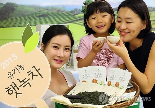 제주 햇녹차 맛보세요