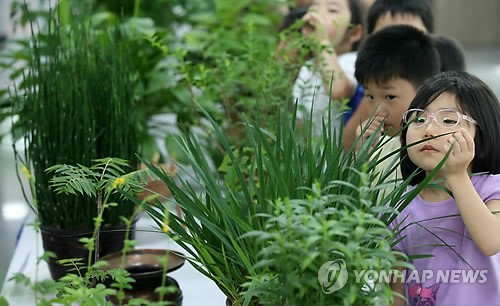 토종 약초 다 모였네