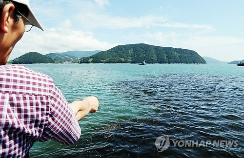 적조 퍼지는 여수바다