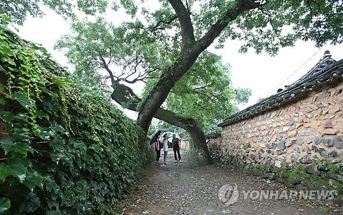 여름비에 젖은 산청 남사예담촌 토담길