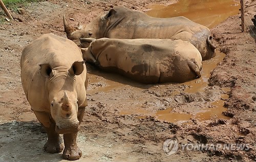 만든곳: 한국 네티즌본부 카페